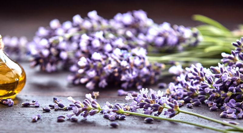 Support Your Mind and Body Through Cancer Treatment and Beyond Using Essential Oils